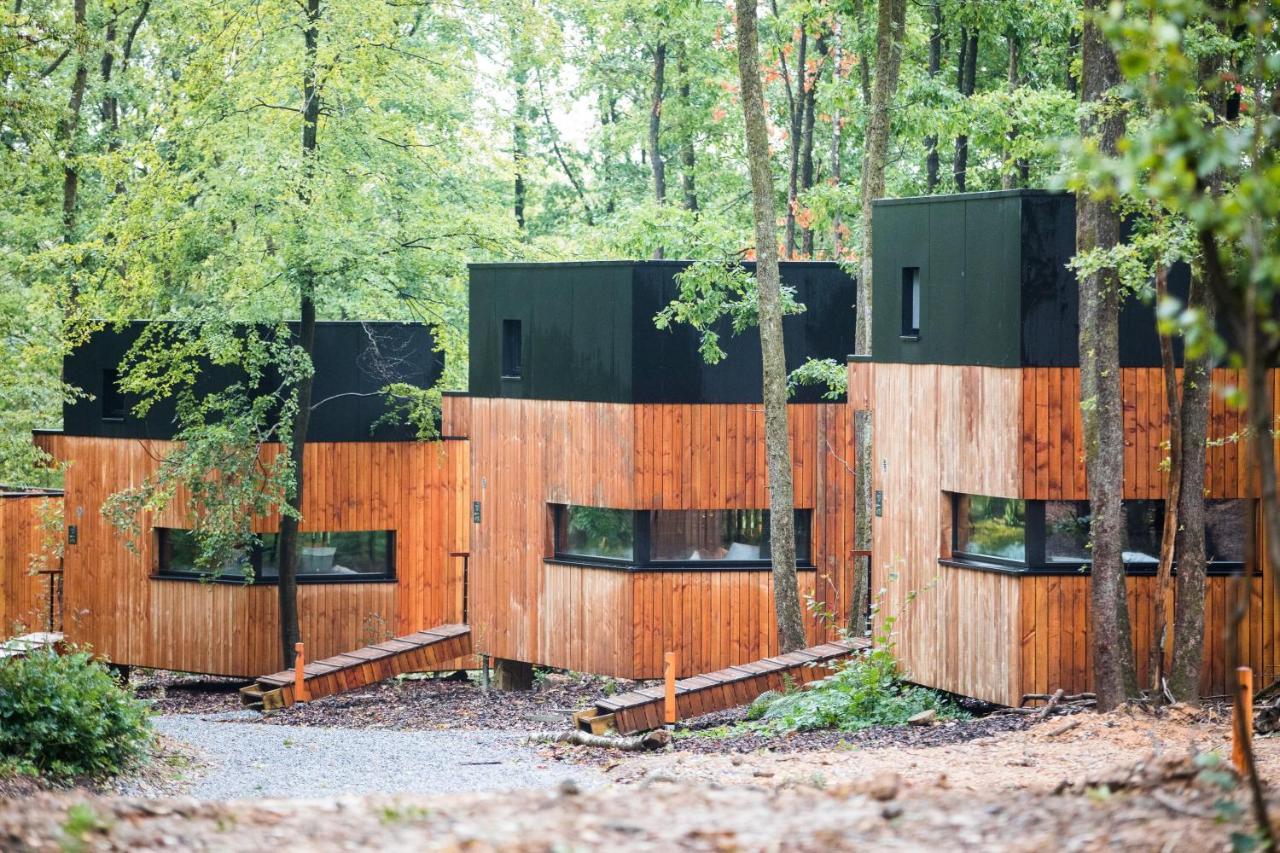 Forest Cube Oignies Bagian luar foto