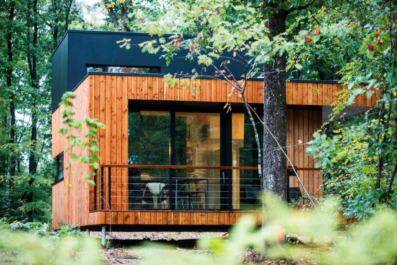 Forest Cube Oignies Bagian luar foto