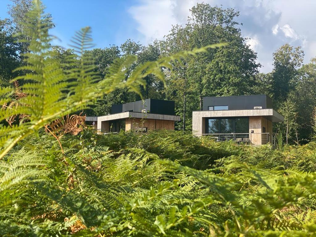 Forest Cube Oignies Bagian luar foto